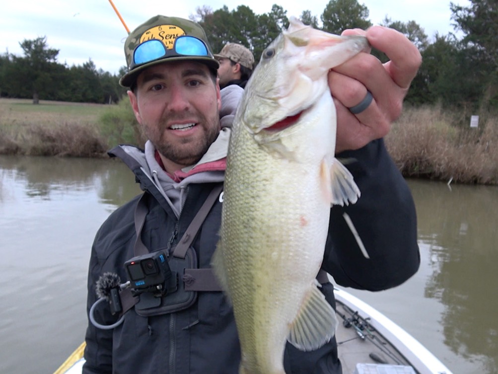 Austin Neary fishing report for Lake Dardanelle in Arkansas