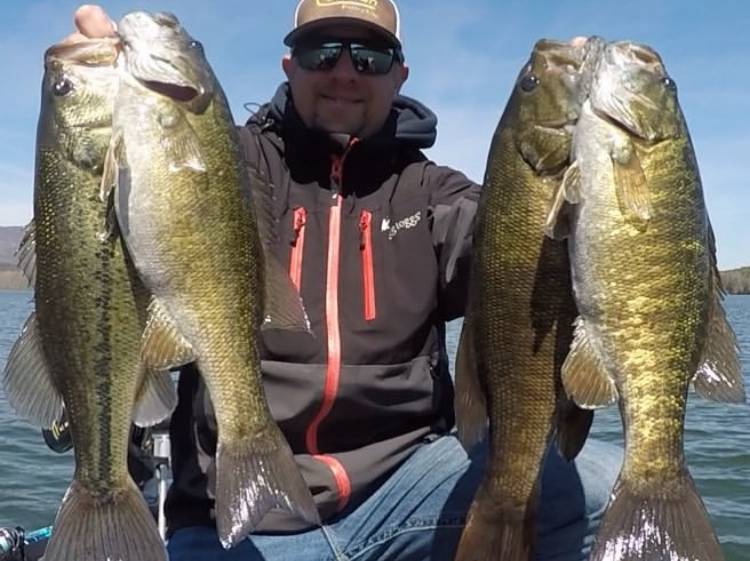Austin Neary fishing report for Lake James in North Carolina