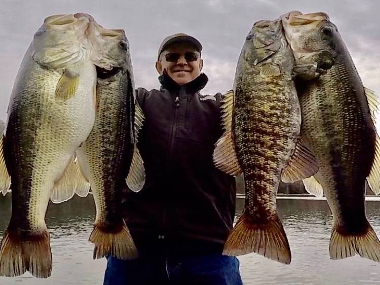 Austin Neary fishing report for Lake Glenville in North Carolina