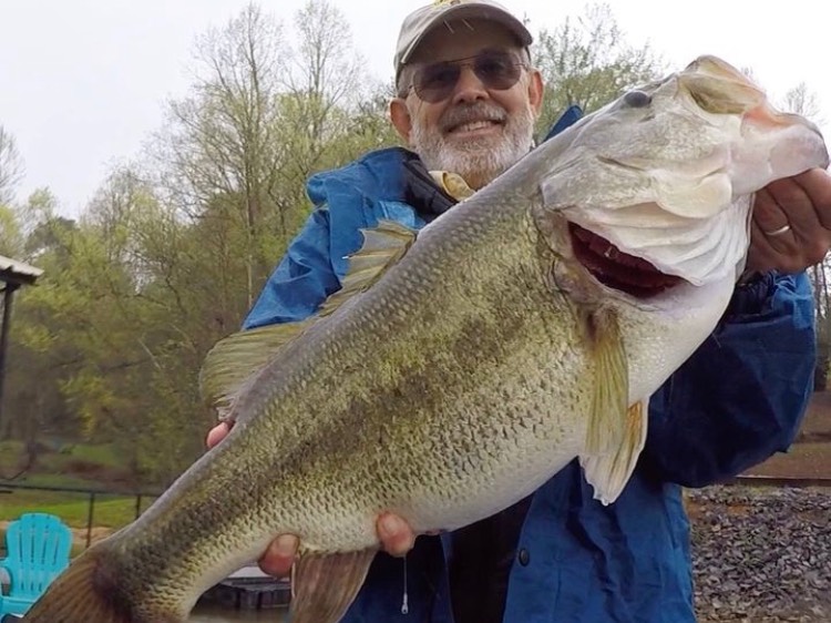 Austin Neary fishing report for Chatuge Lake in North Carolina