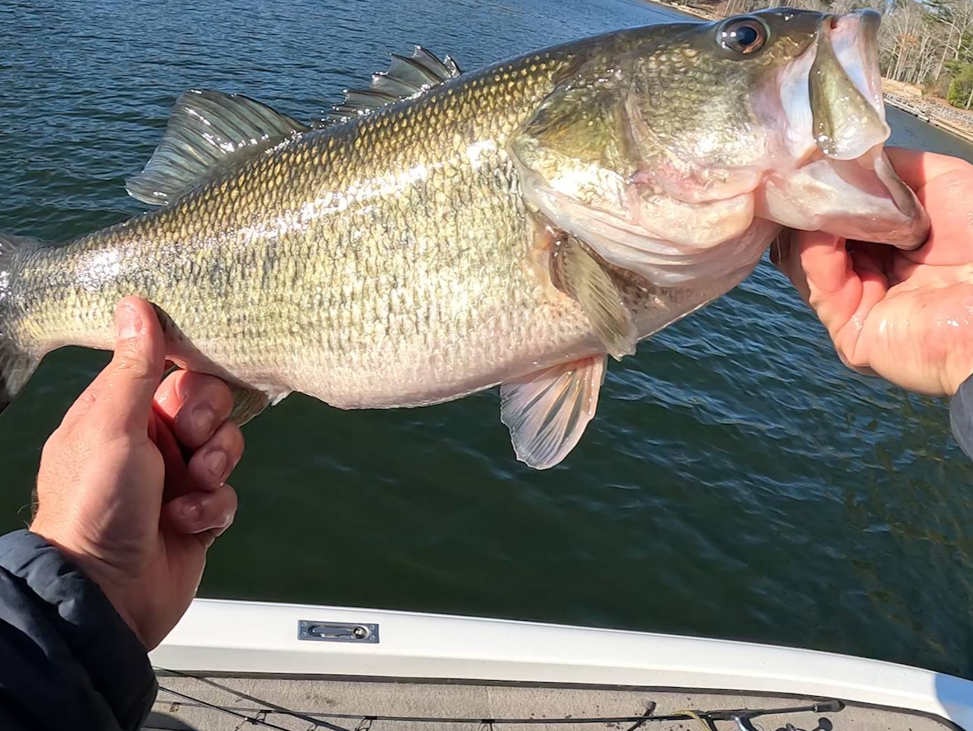 Austin Neary fishing report for Glenville in North Carolina