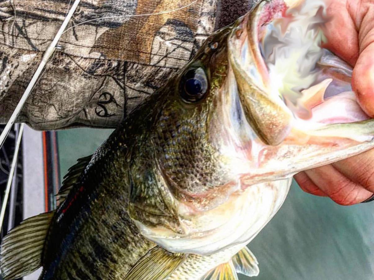 Austin Neary fishing report for Lake Keowee in South Carolina
