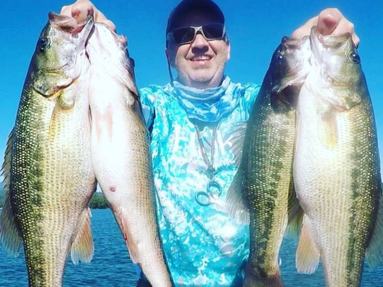 Austin Neary fishing report for Lake Norman in North Carolina