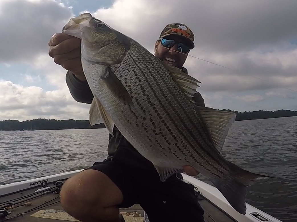 Austin Neary fishing report for Lake Hartwell in South Carolina