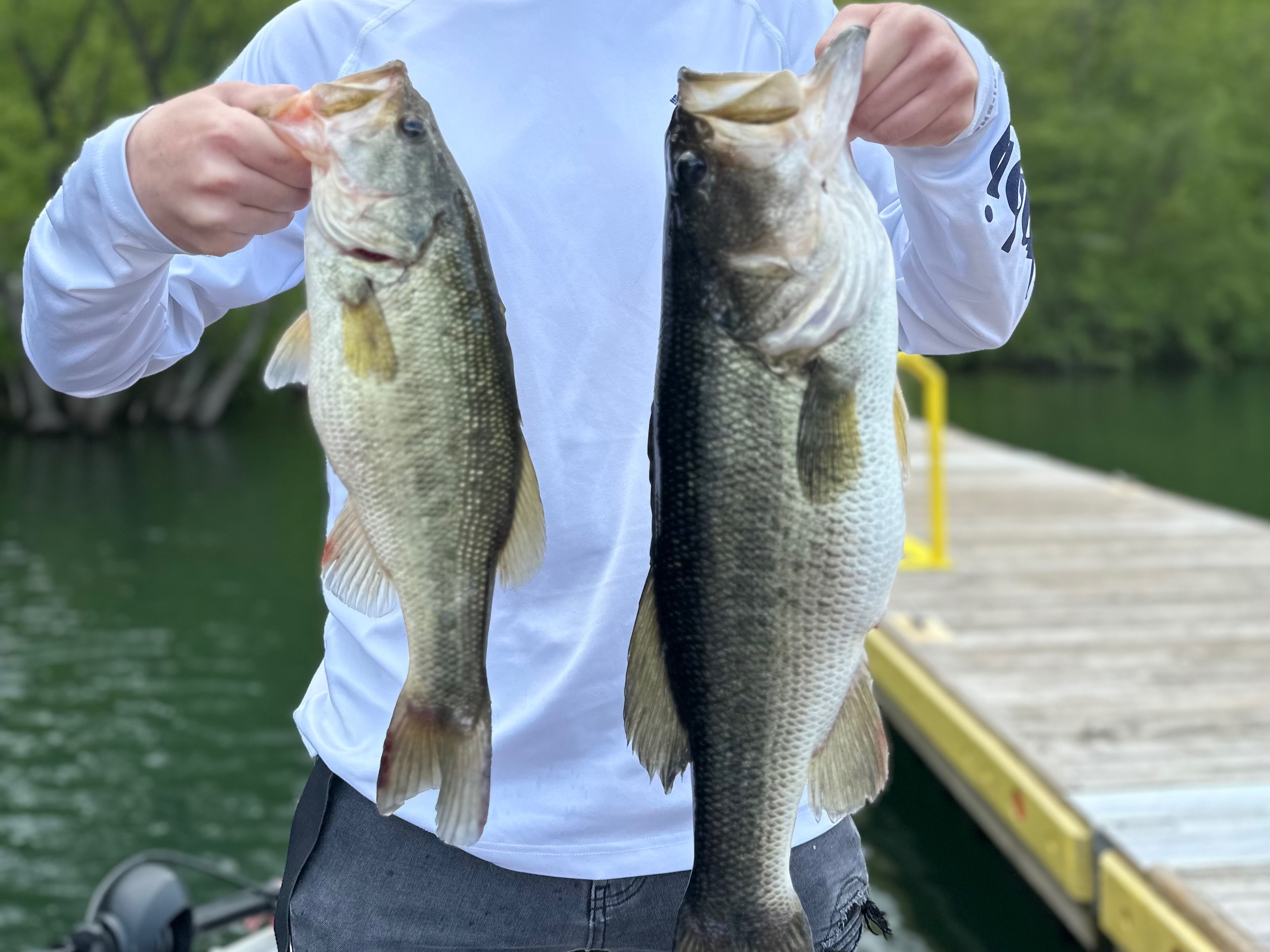 Austin Neary fishing report for Nantahala Lake in North Carolina