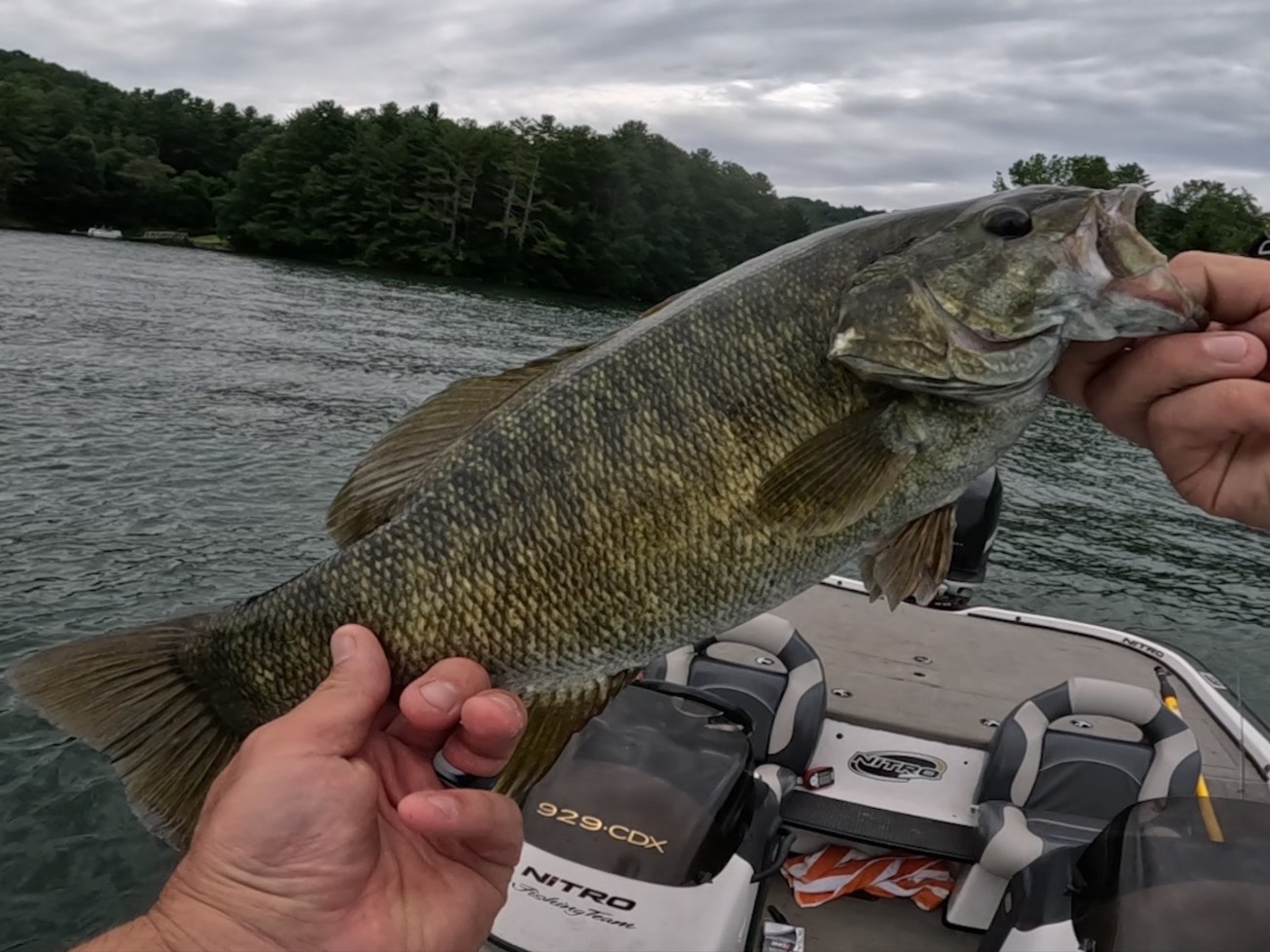Austin Neary fishing report for North Carolina