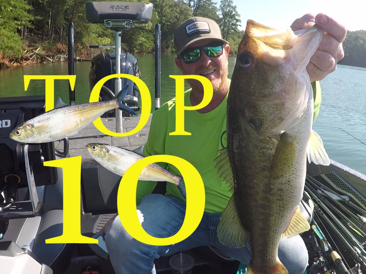 Austin Neary fishing report for Chatuge Lake in North Carolina