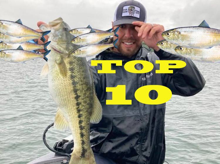 Austin Neary fishing report for Lake Lanier in Georgia