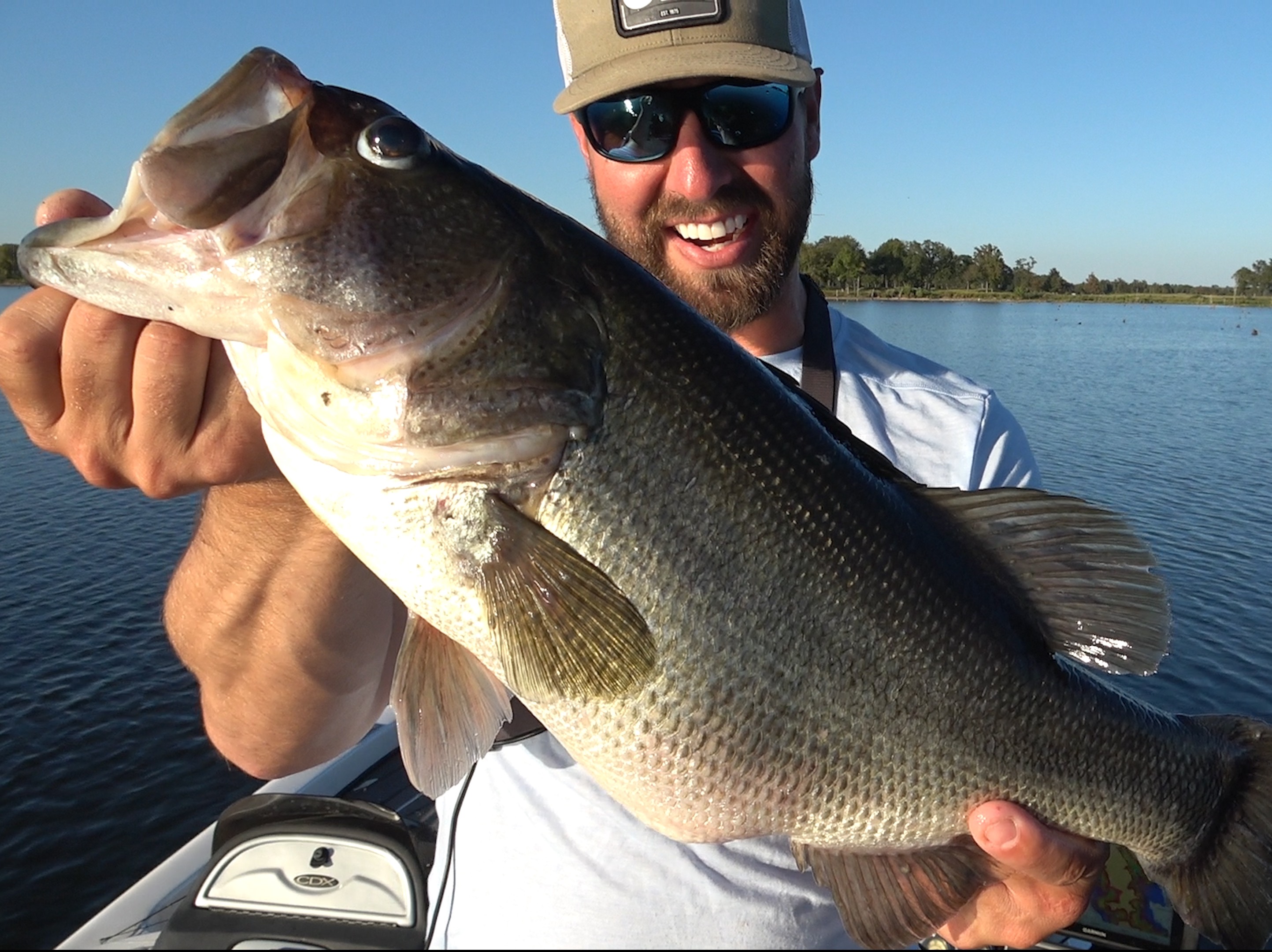 Austin Neary fishing report for Lake Fork in Texas