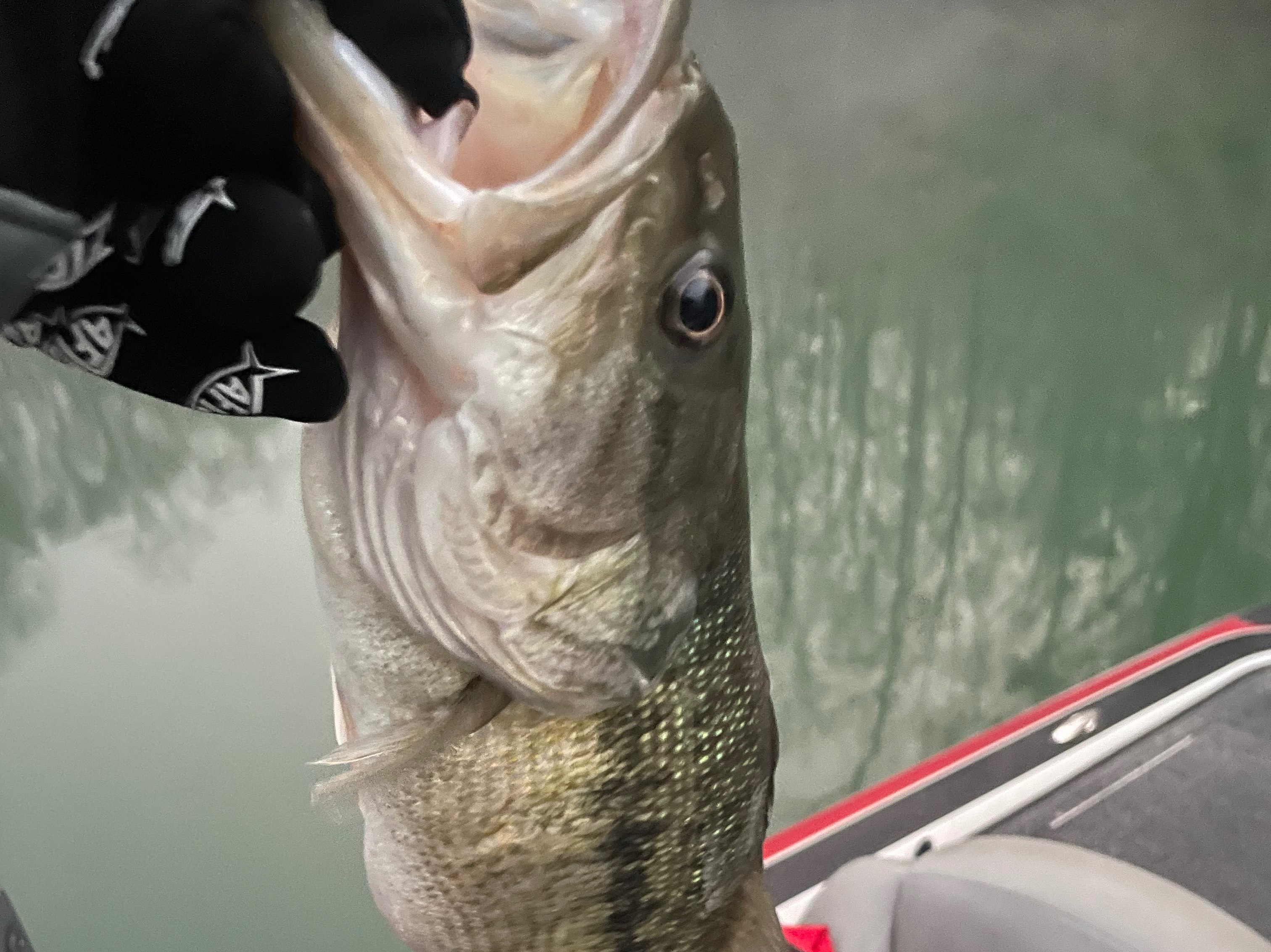 Steven Broom fishing report for Lake Keowee in South Carolina