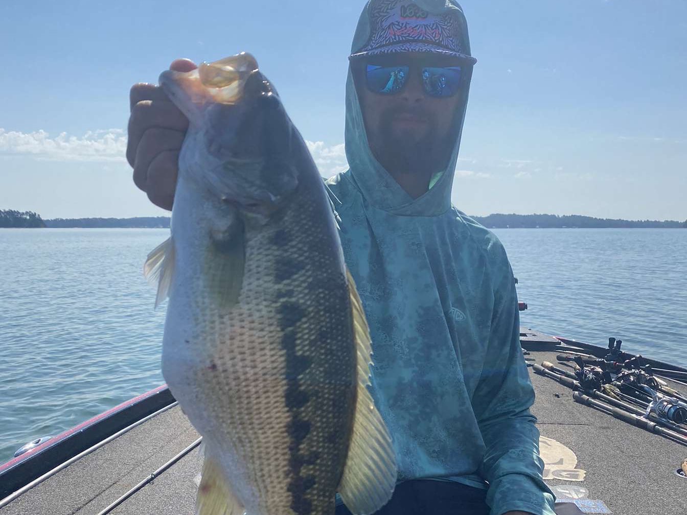 Lane Clark fishing report for Lake Hartwell in South Carolina