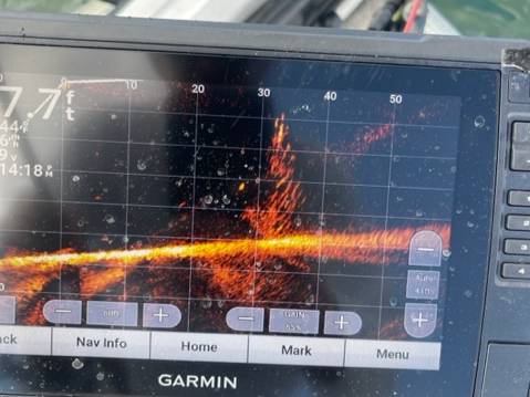 Robert Pryor fishing report for Lake Hartwell in South Carolina