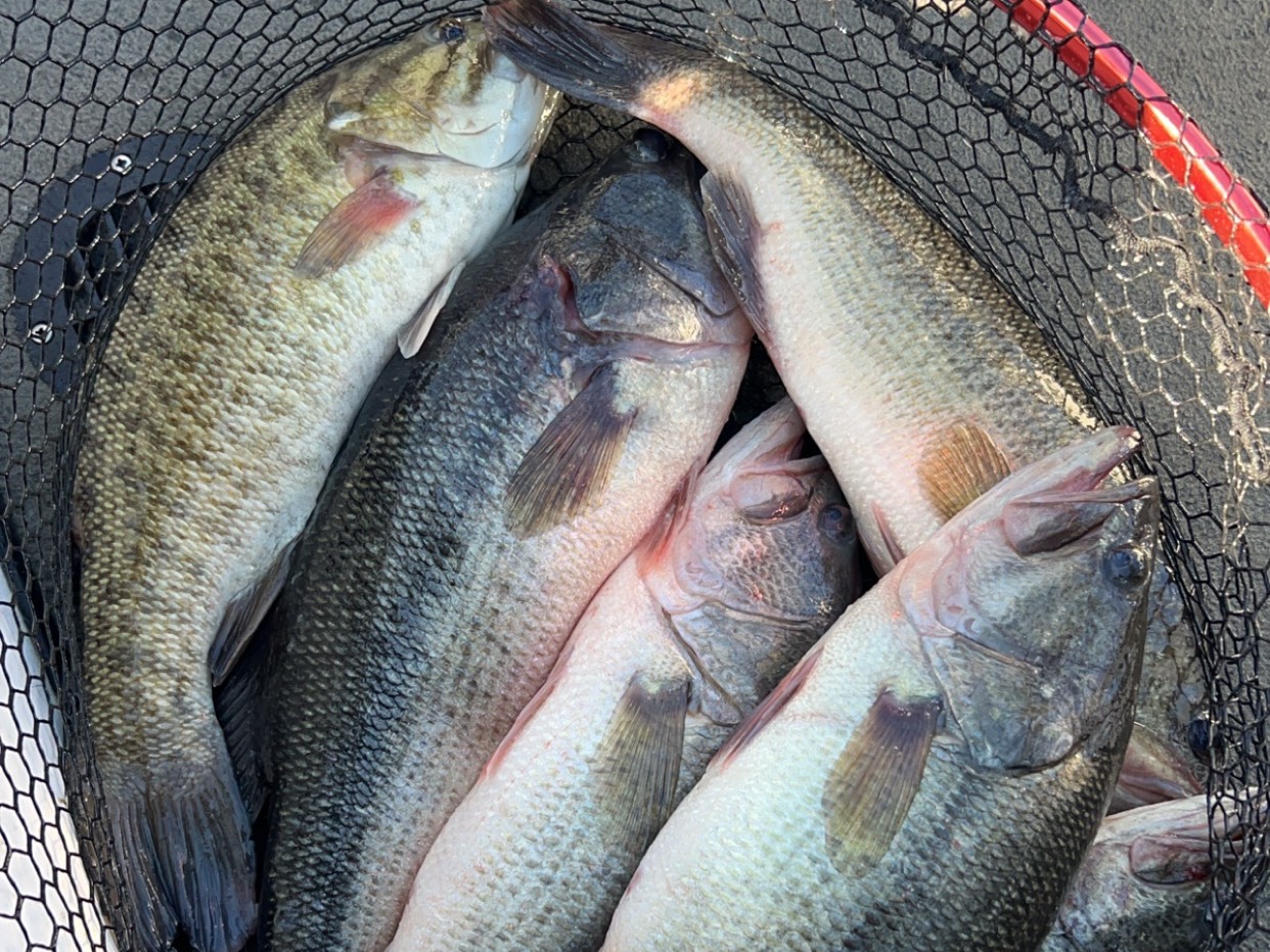 Bryce Kistler fishing report for Alabama