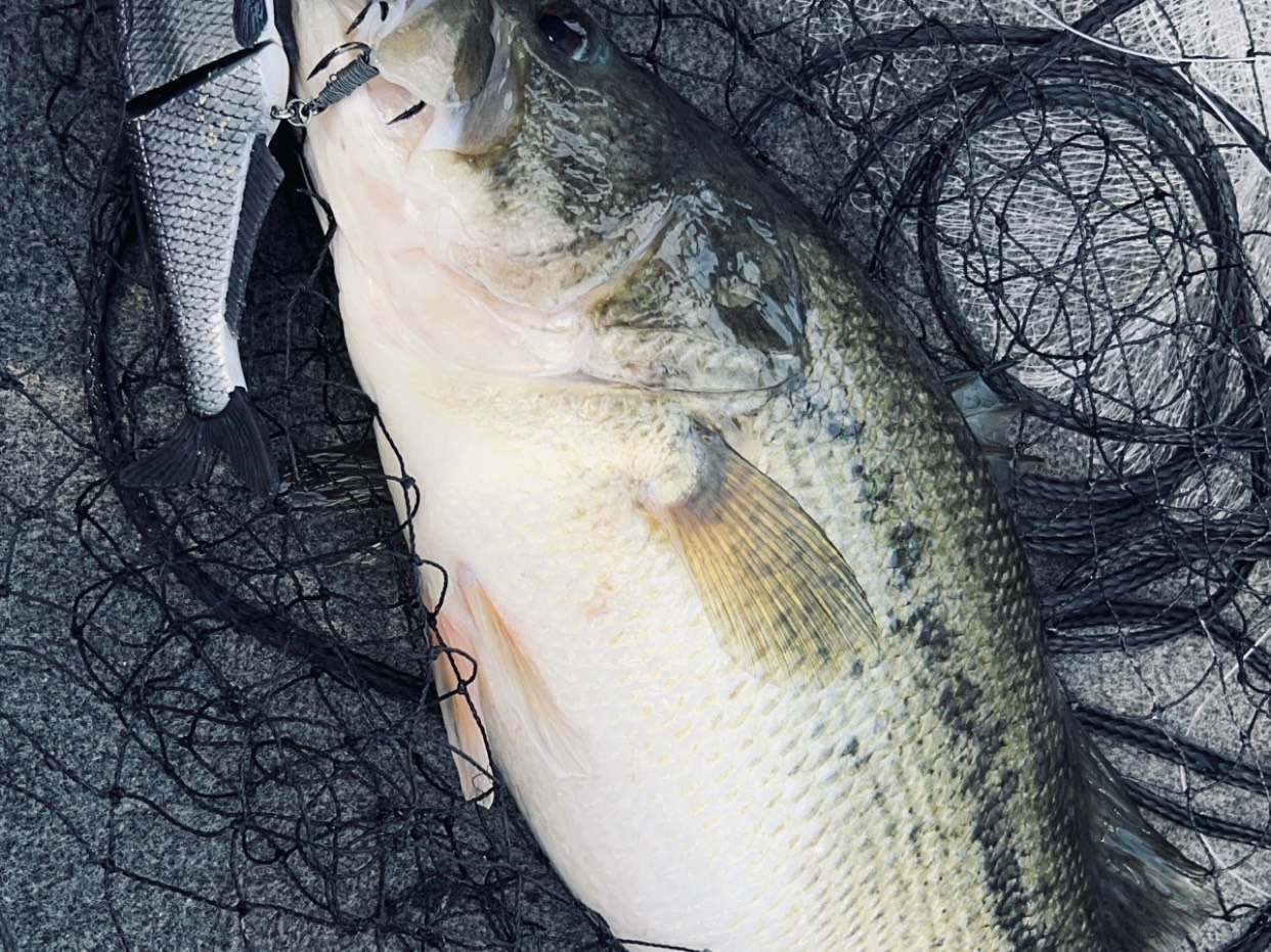Bryce Kistler fishing report for Alabama, Tennessee