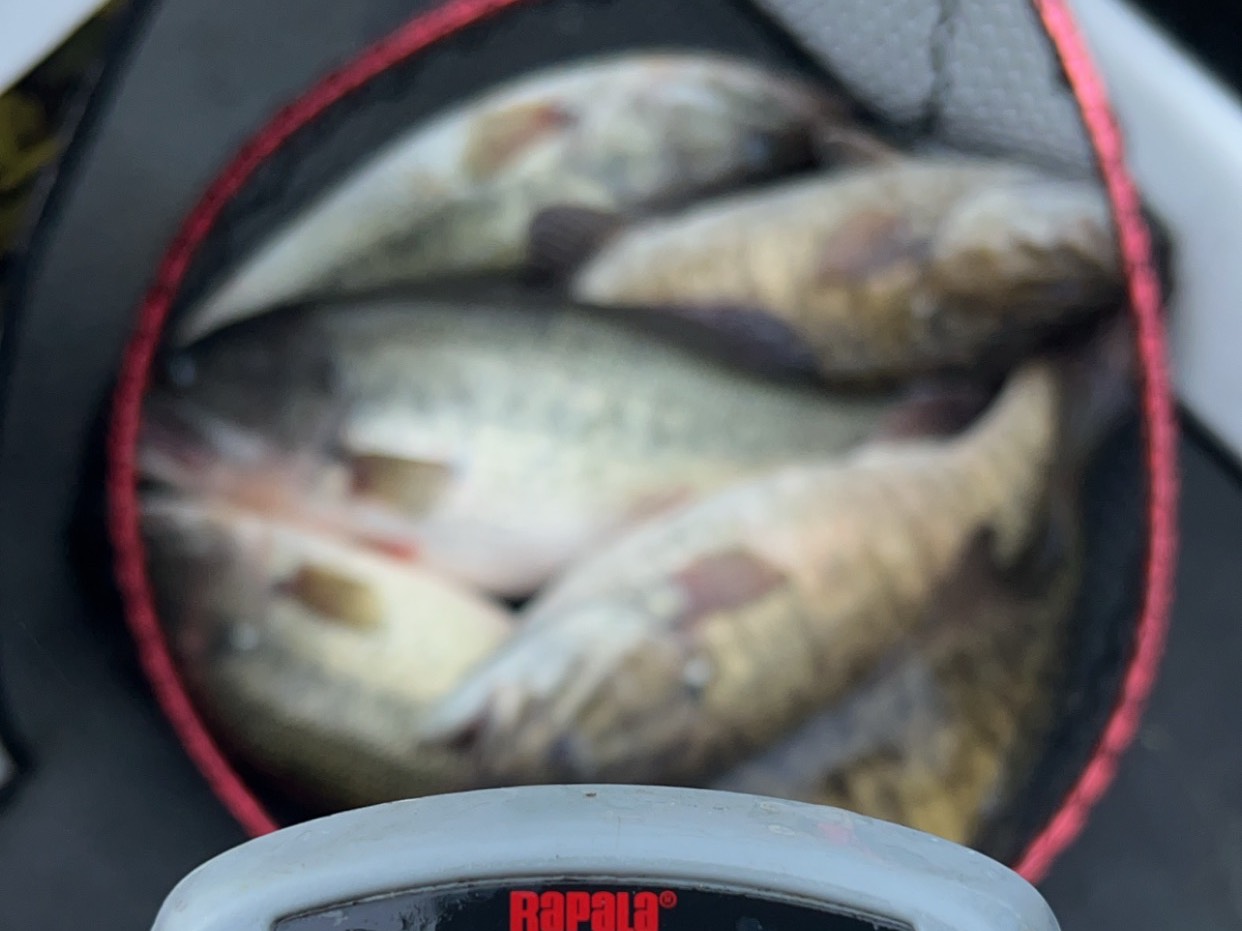 Bryce Kistler fishing report for Alabama