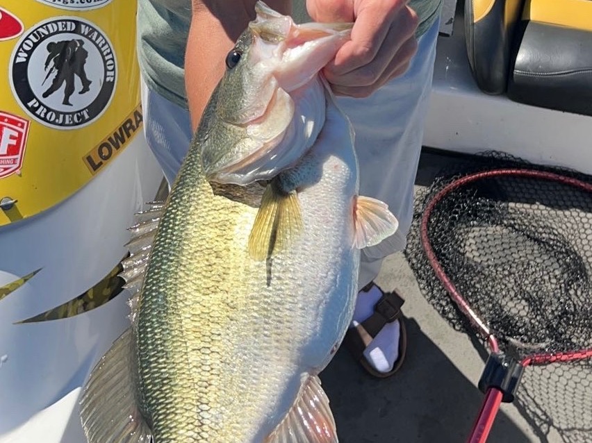 Bryce Kistler fishing report for Pickwick Lake in Alabama