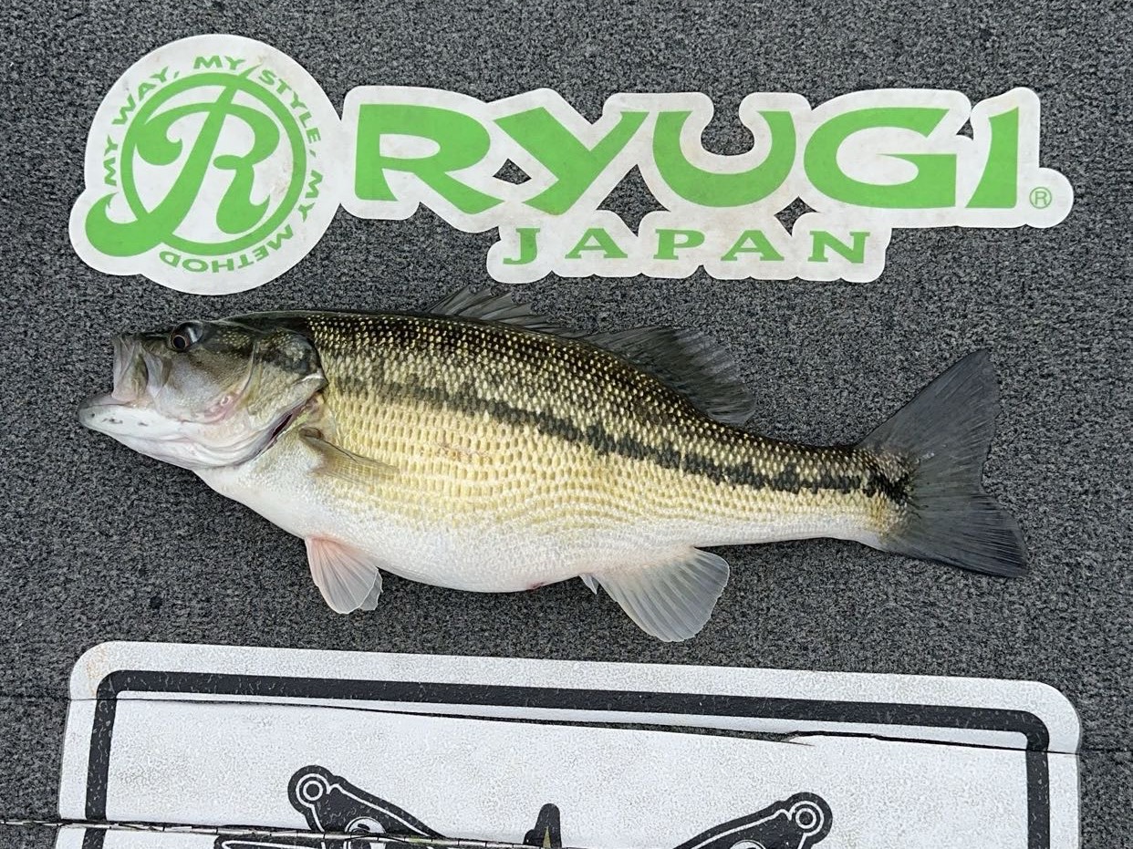 Jake Maddux fishing report for Lake Martin in Alabama