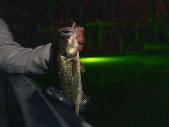 Jake Maddux fishing report for Lake Martin in Alabama