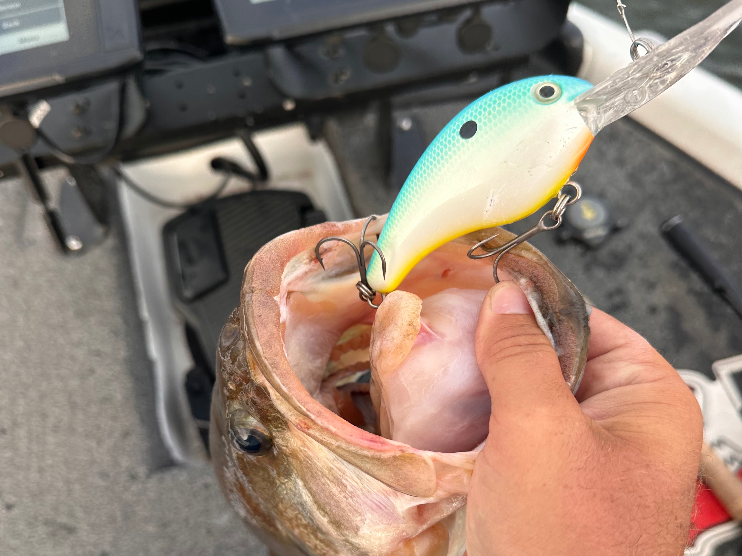 Jake Maddux fishing report for Lake Eufaula in Alabama
