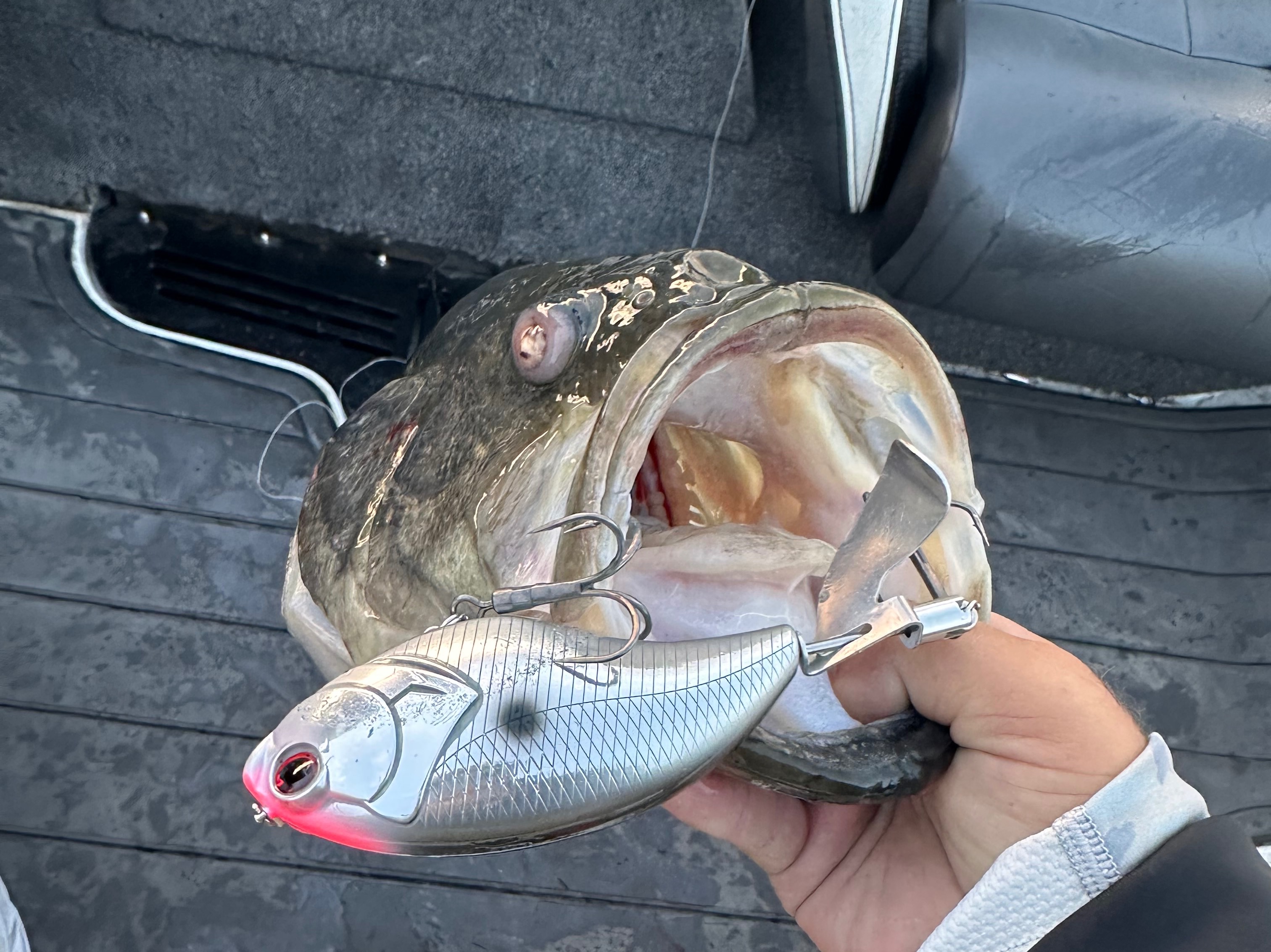 Jake Maddux fishing report for Lake of the Ozarks in Missouri