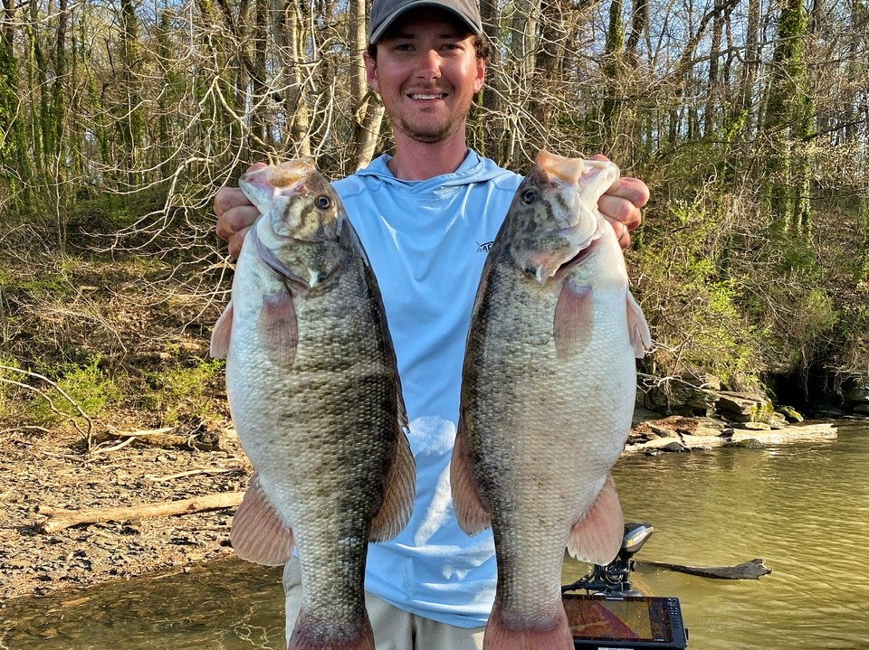 saxton long fishing report for Wilson Lake in Alabama