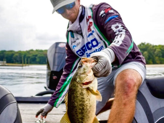 Jonathan Kelley fishing report for Potomac River in undefined