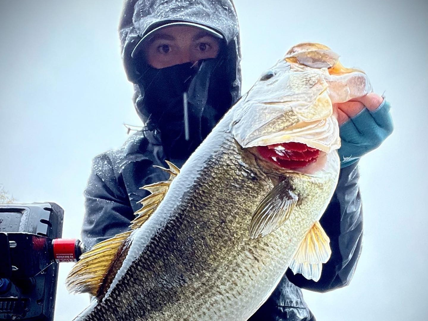 Jonathan Kelley fishing report for St. Johns River in Florida