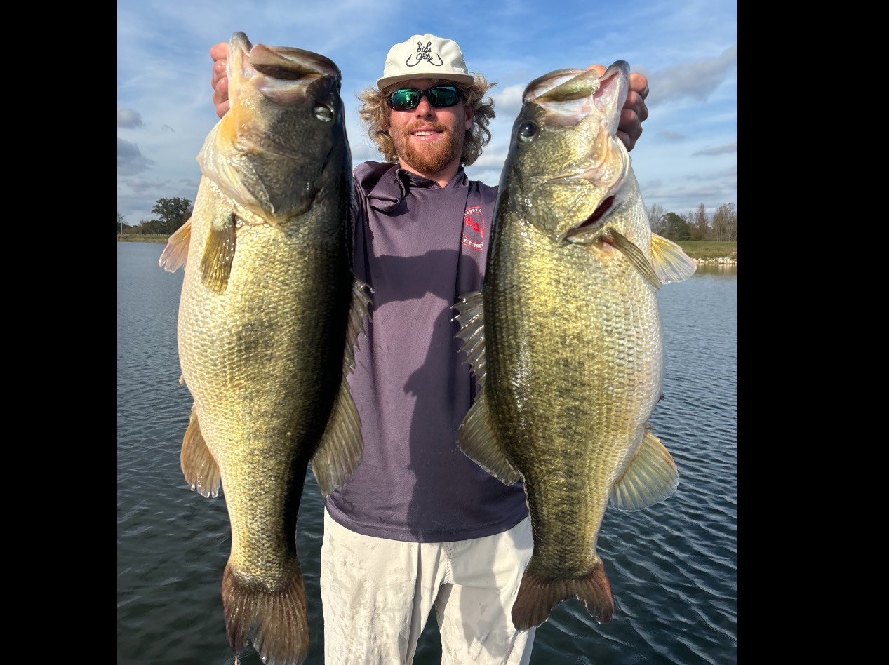 Banks Shaw fishing report for Chickamauga Lake in Tennessee