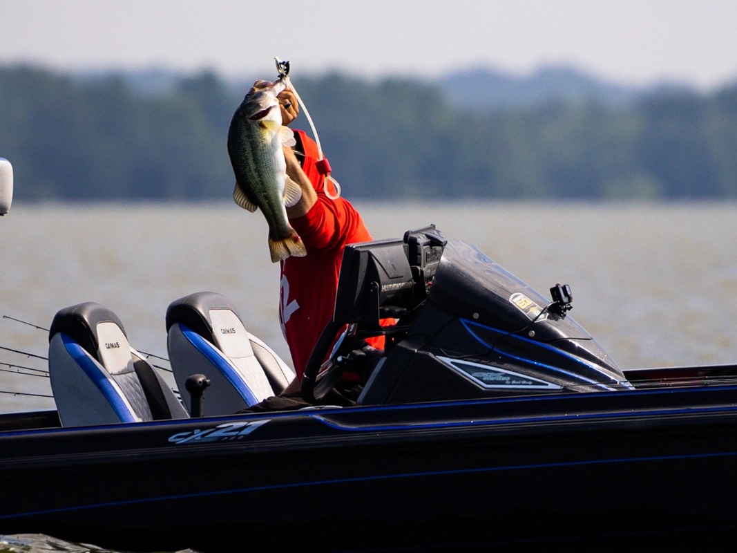Ben Milliken fishing report for Wheeler Lake in Alabama