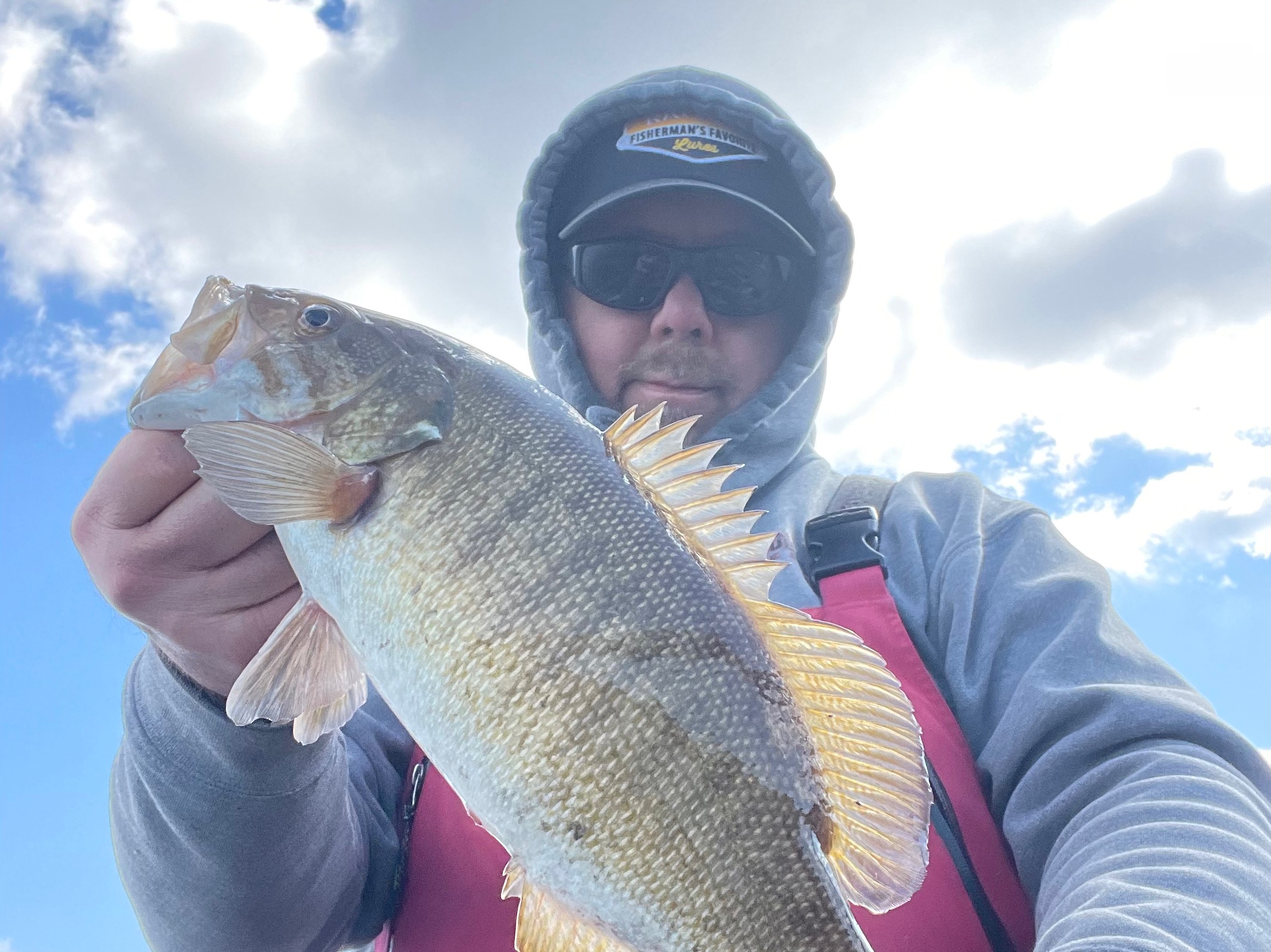 Allen Casal fishing report for Susquehanna River in undefined