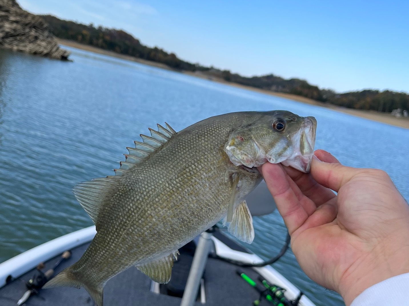 Jordan  Dyer fishing report for Douglas Lake in Tennessee