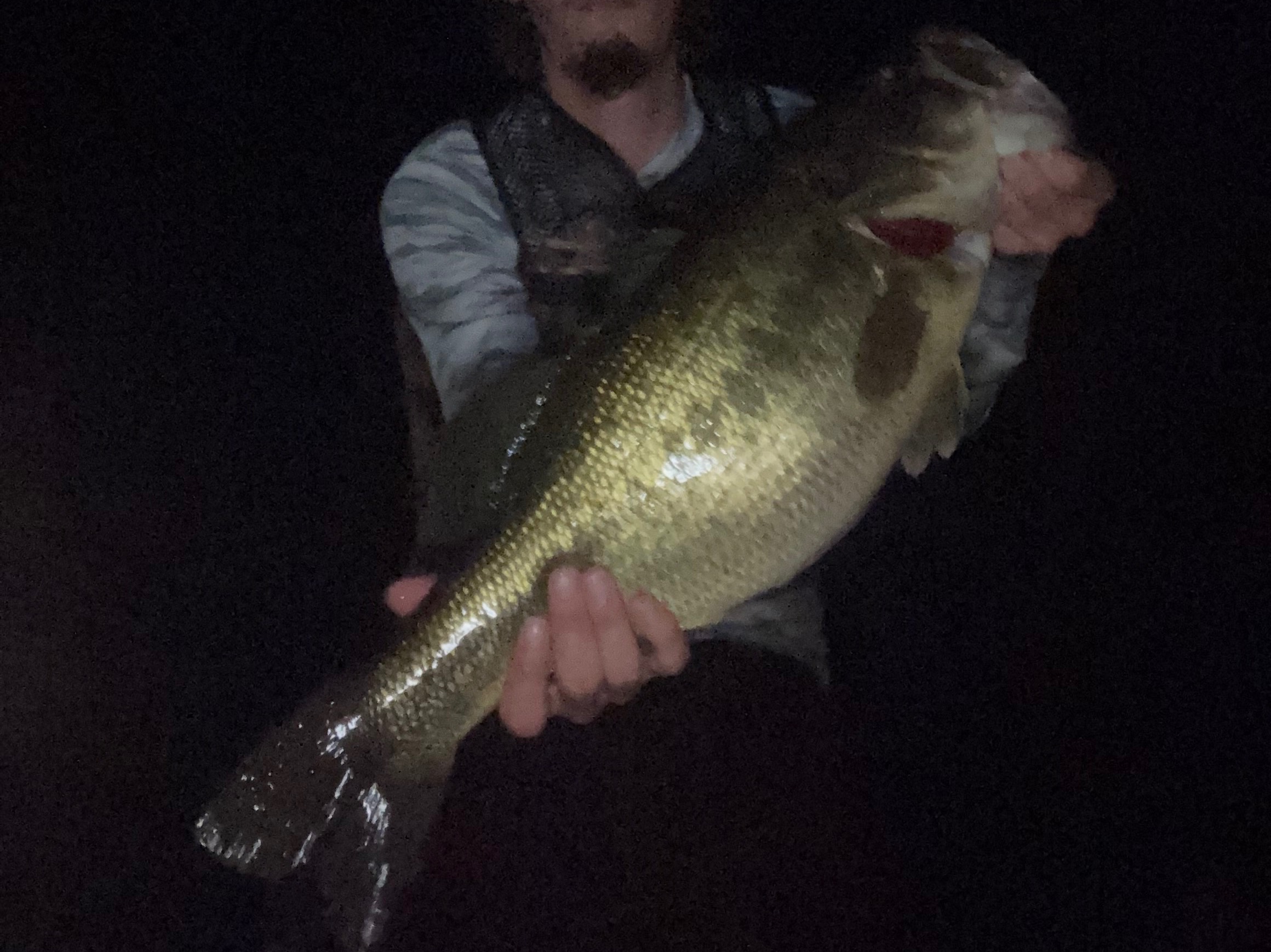 Clayton Bond fishing report for Lake O’ The Pines in Texas