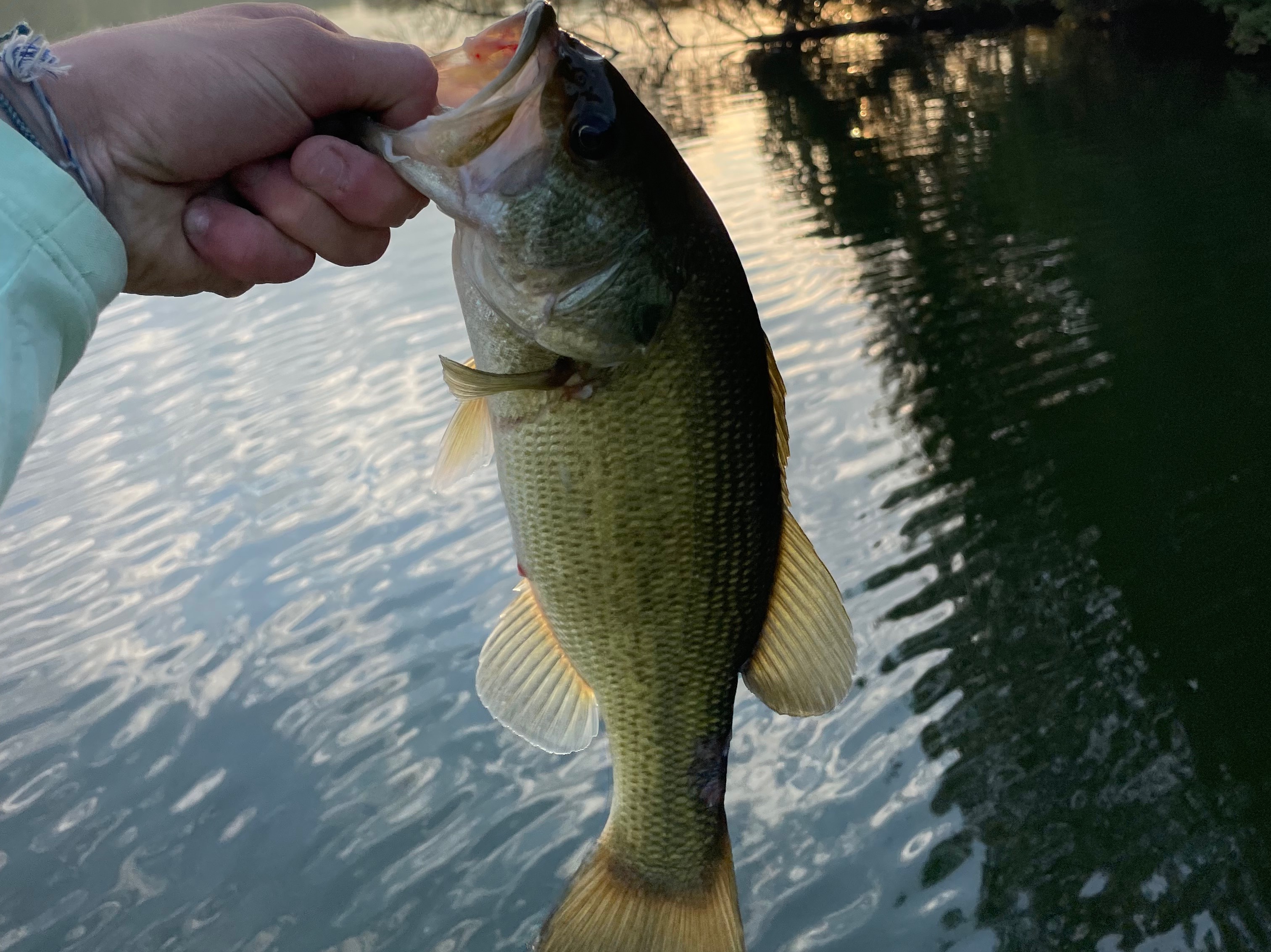 Easton Thomas fishing report for 