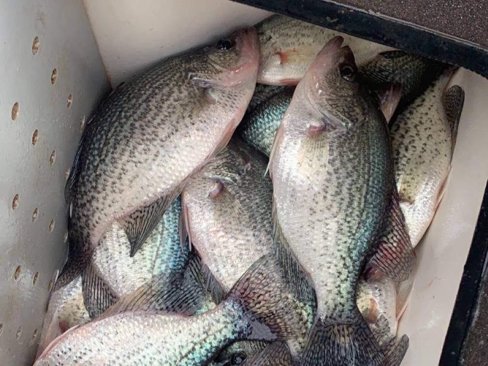 wesley bilton fishing report for Lake Wateree in 
