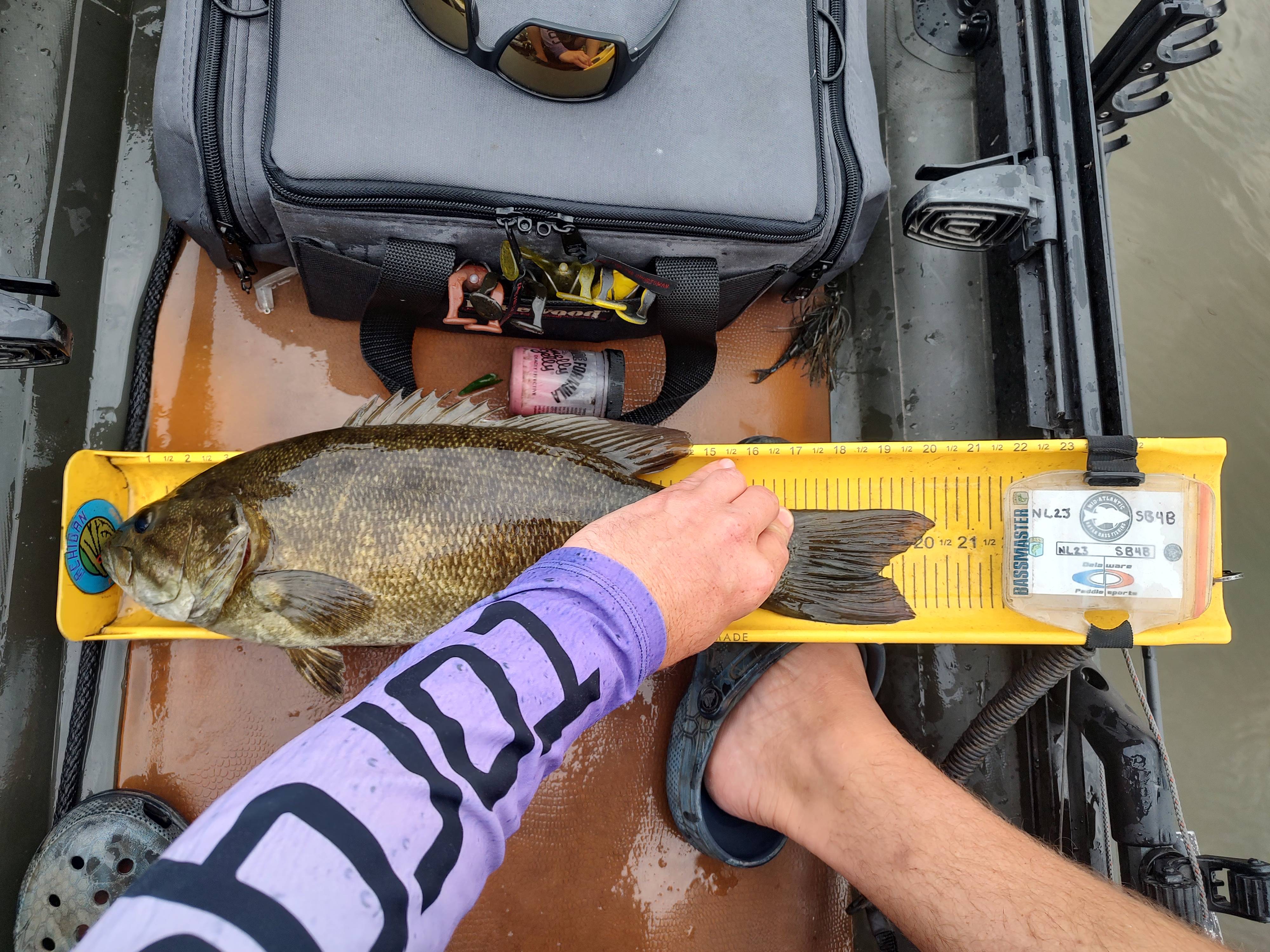 Jake Harshman fishing report for Susquehanna River in undefined