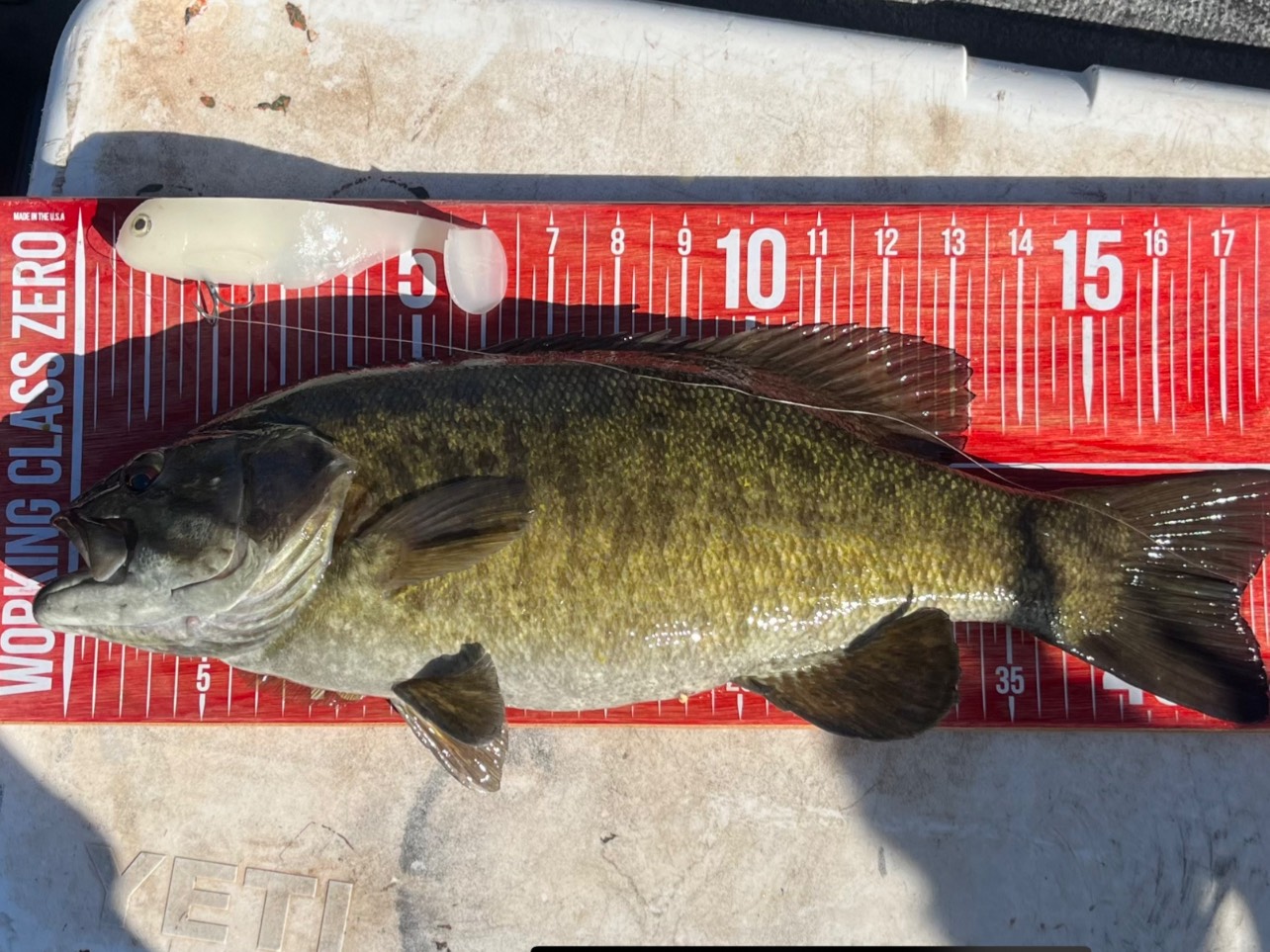 Billy Skinner fishing report for 