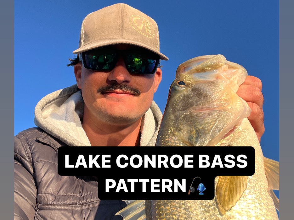 Hugh Cosculluela fishing report for Lake Conroe in Texas