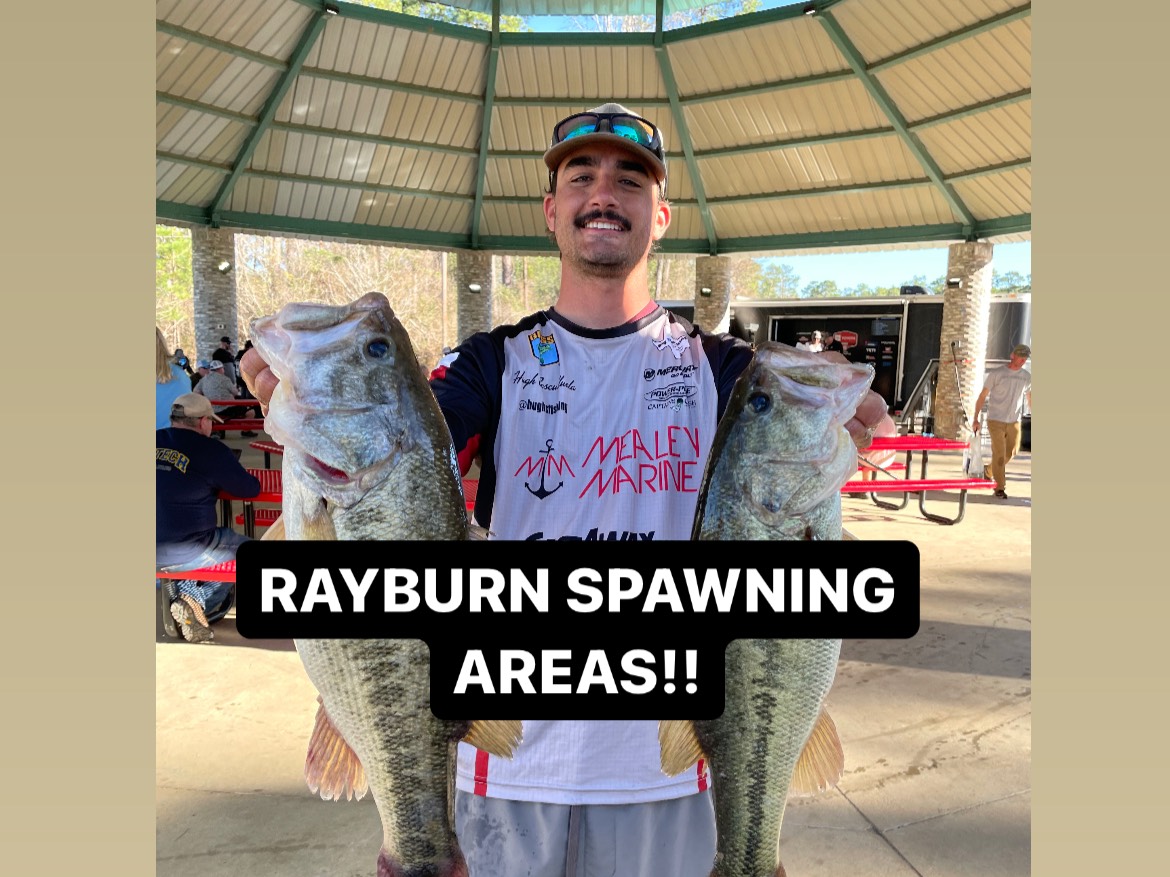 Hugh Cosculluela fishing report for Sam Rayburn Reservoir in Texas
