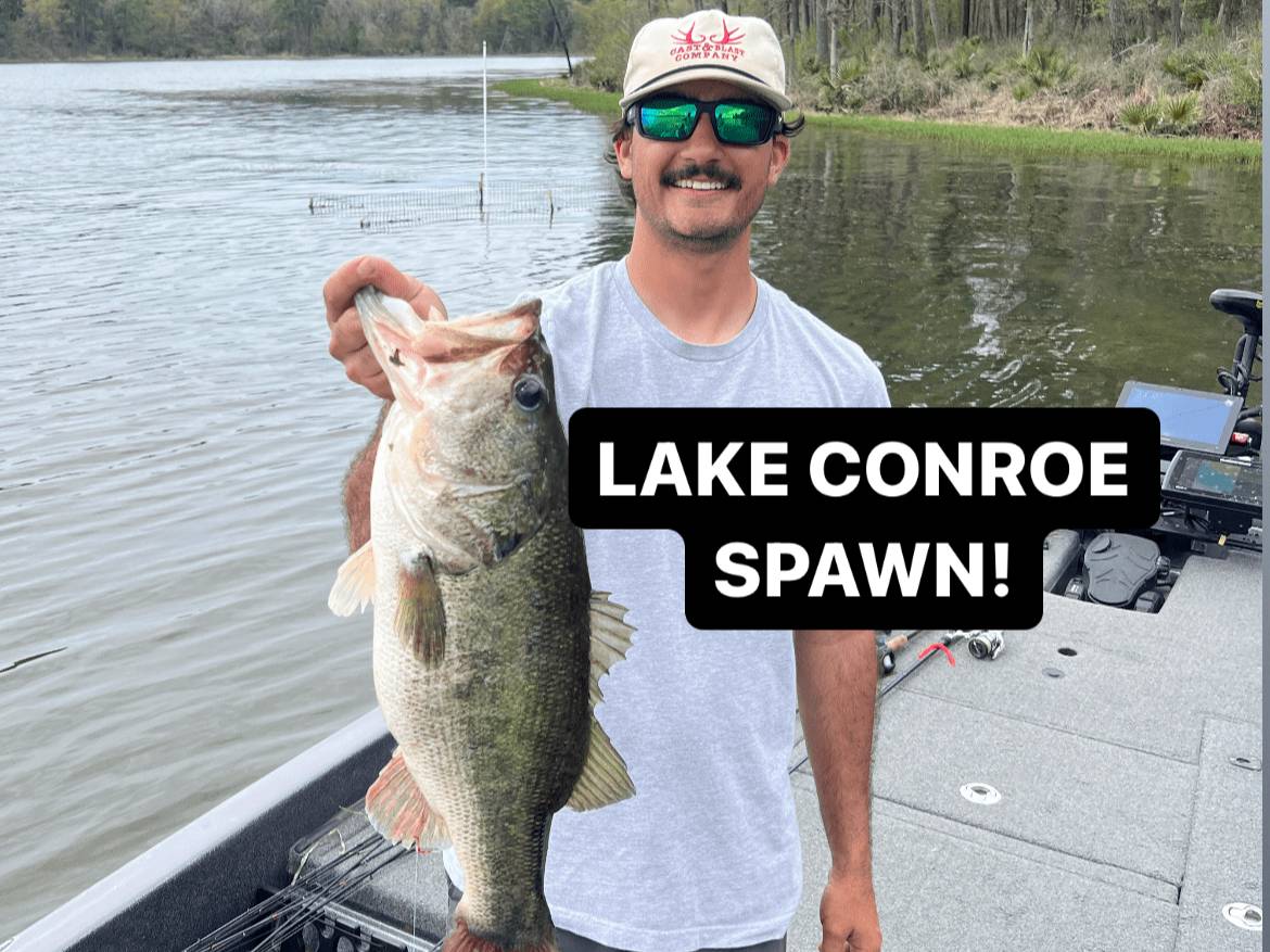 Hugh Cosculluela fishing report for Lake Conroe in Texas