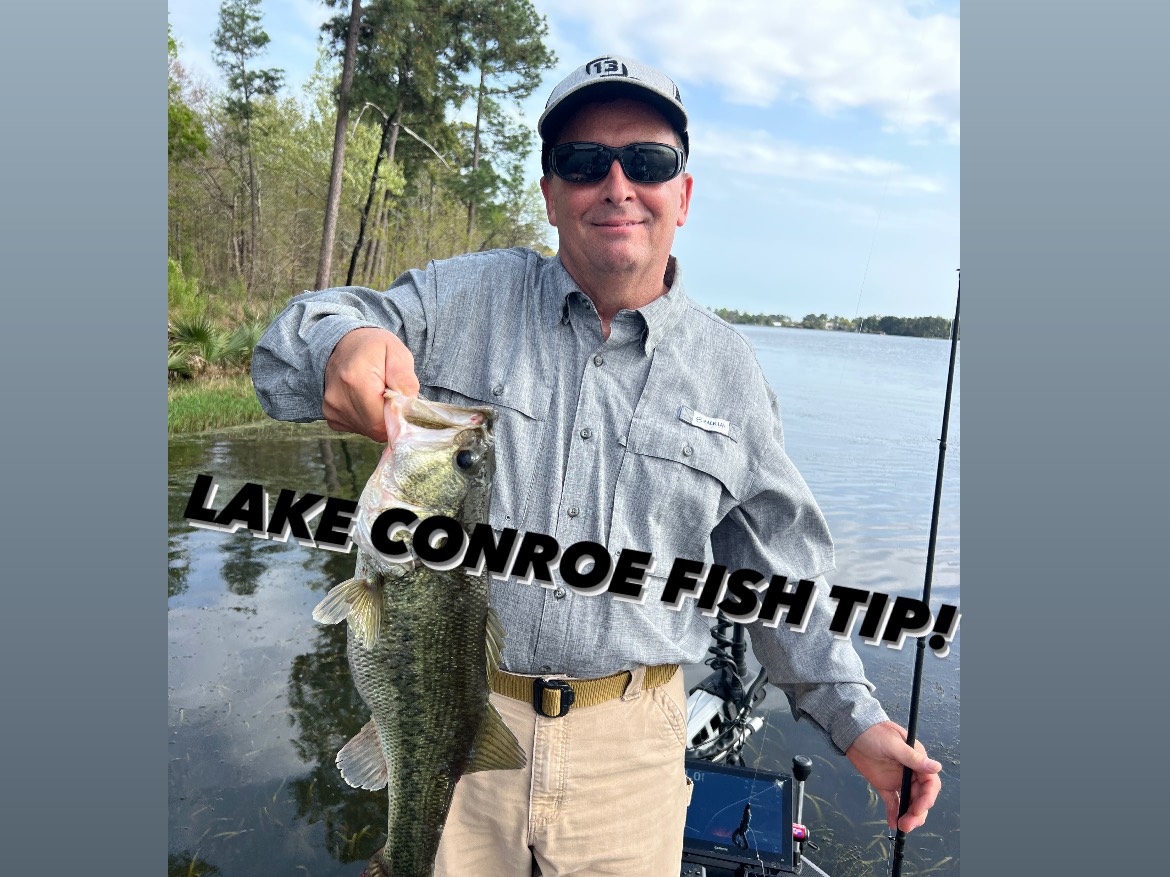 Hugh Cosculluela fishing report for Lake Conroe in Texas