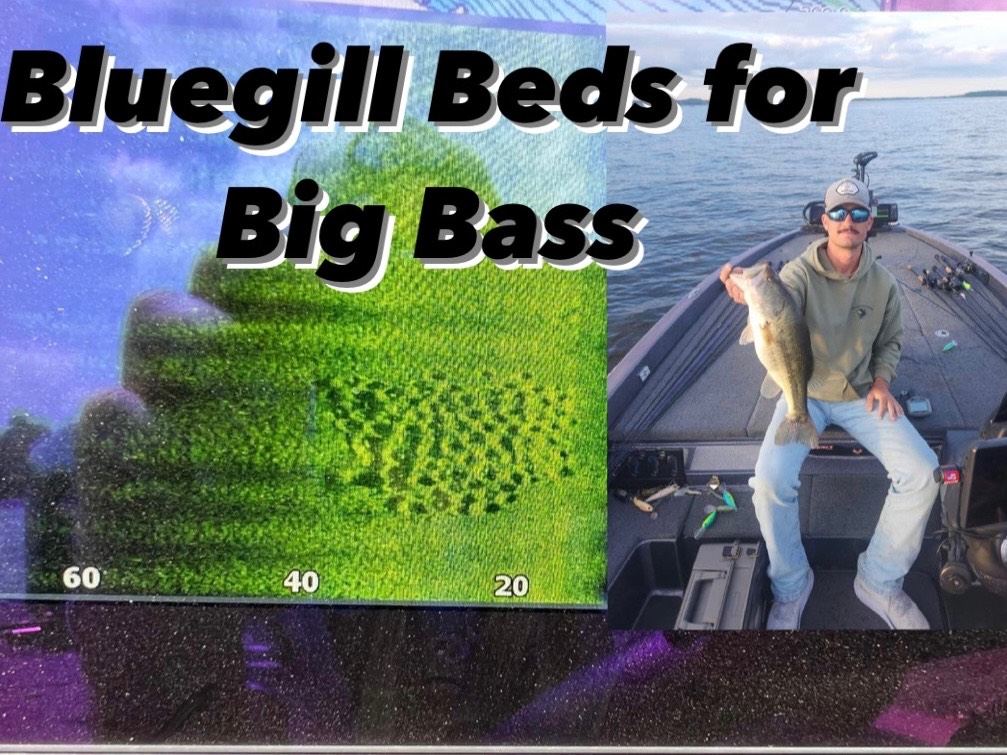 Hugh Cosculluela fishing report for Lake Conroe in Texas