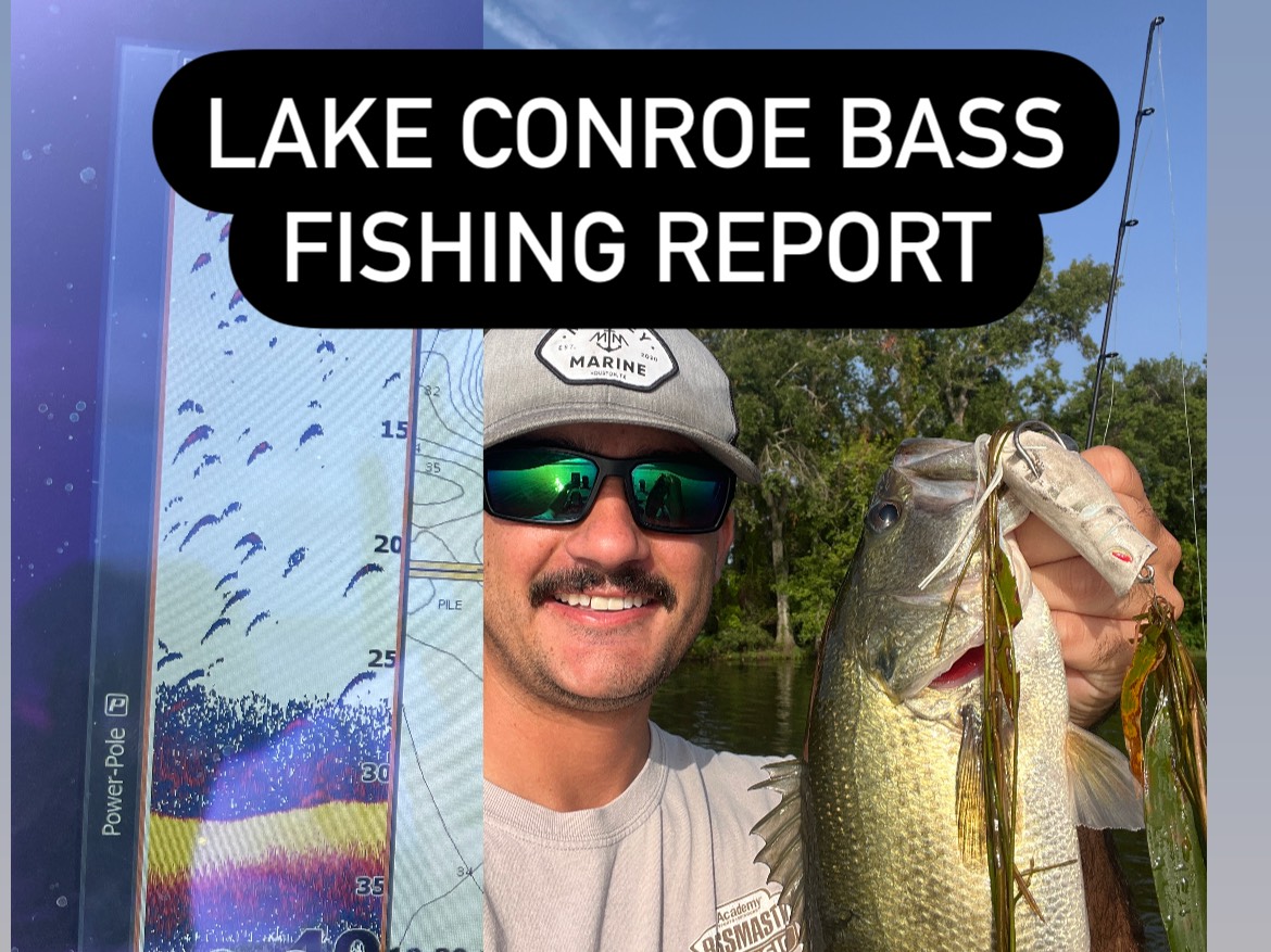 Hugh Cosculluela fishing report for Lake Conroe in Texas