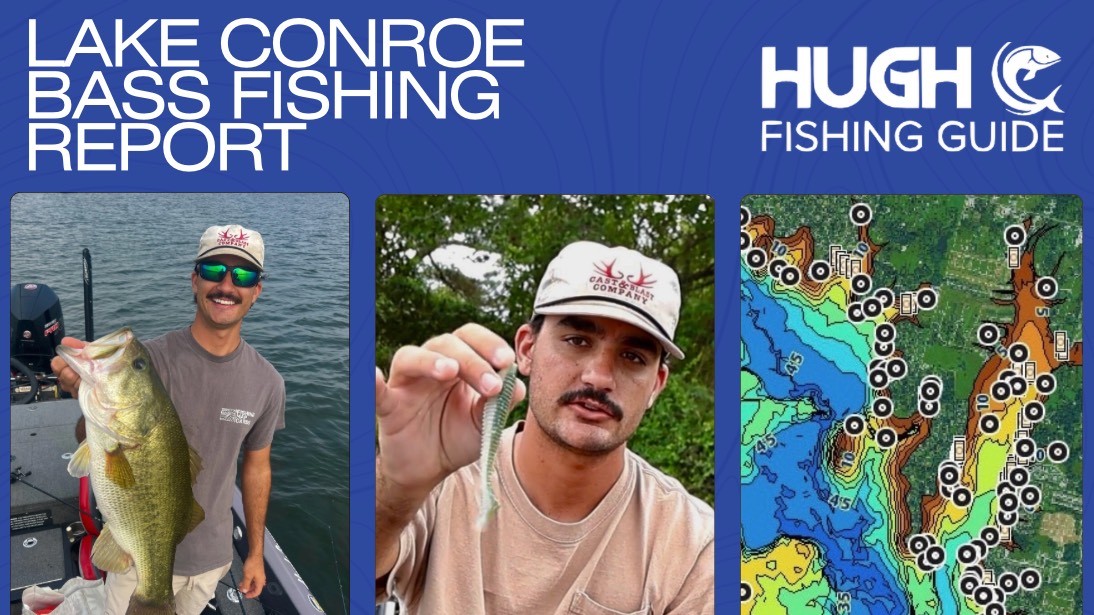 FishTips