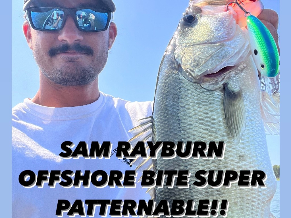 Hugh Cosculluela fishing report for Sam Rayburn Reservoir in Texas