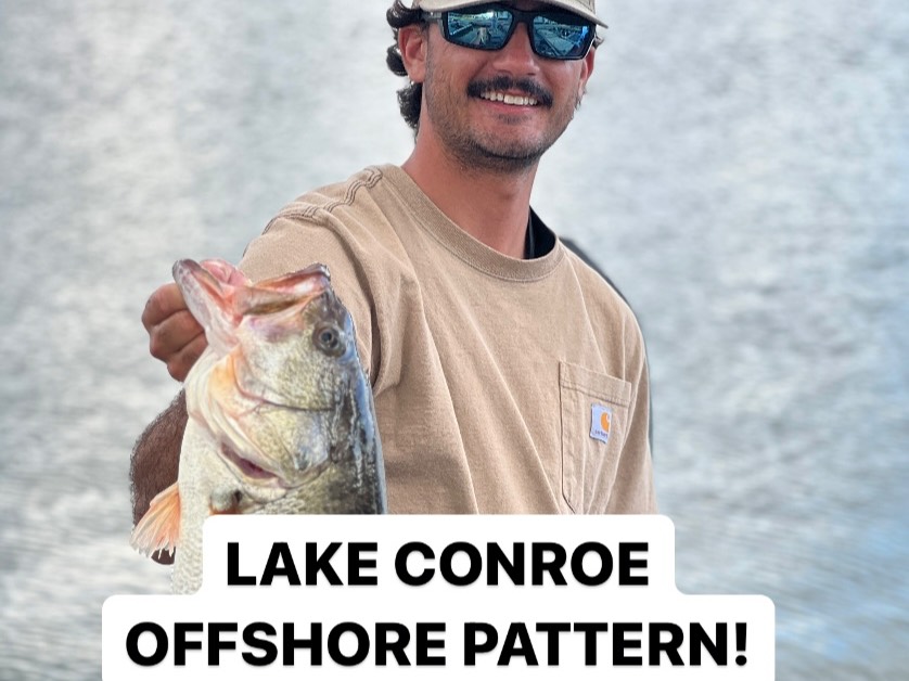 Hugh Cosculluela fishing report for Lake Conroe in Texas