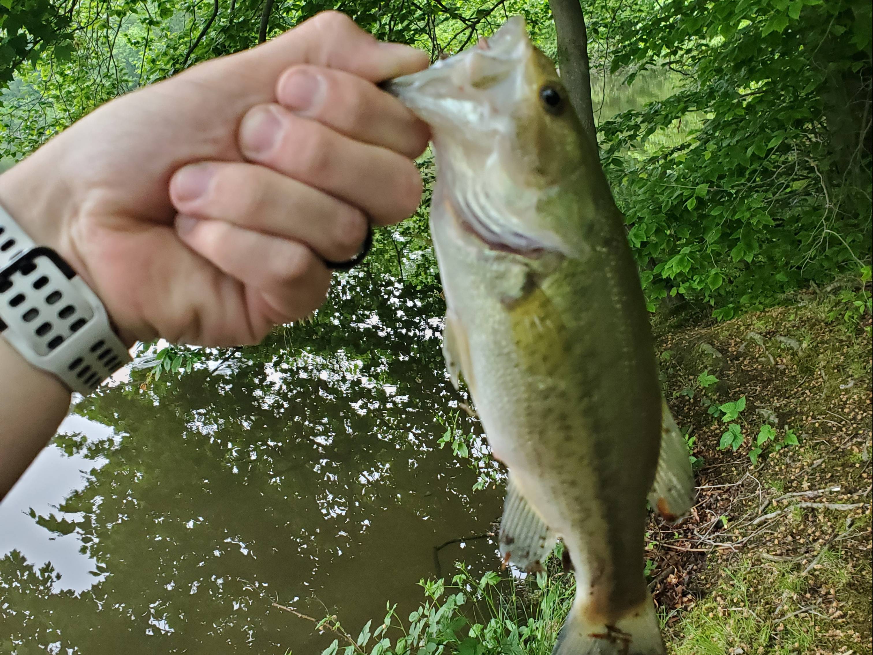 Kyle Kreider fishing report for undefined in undefined