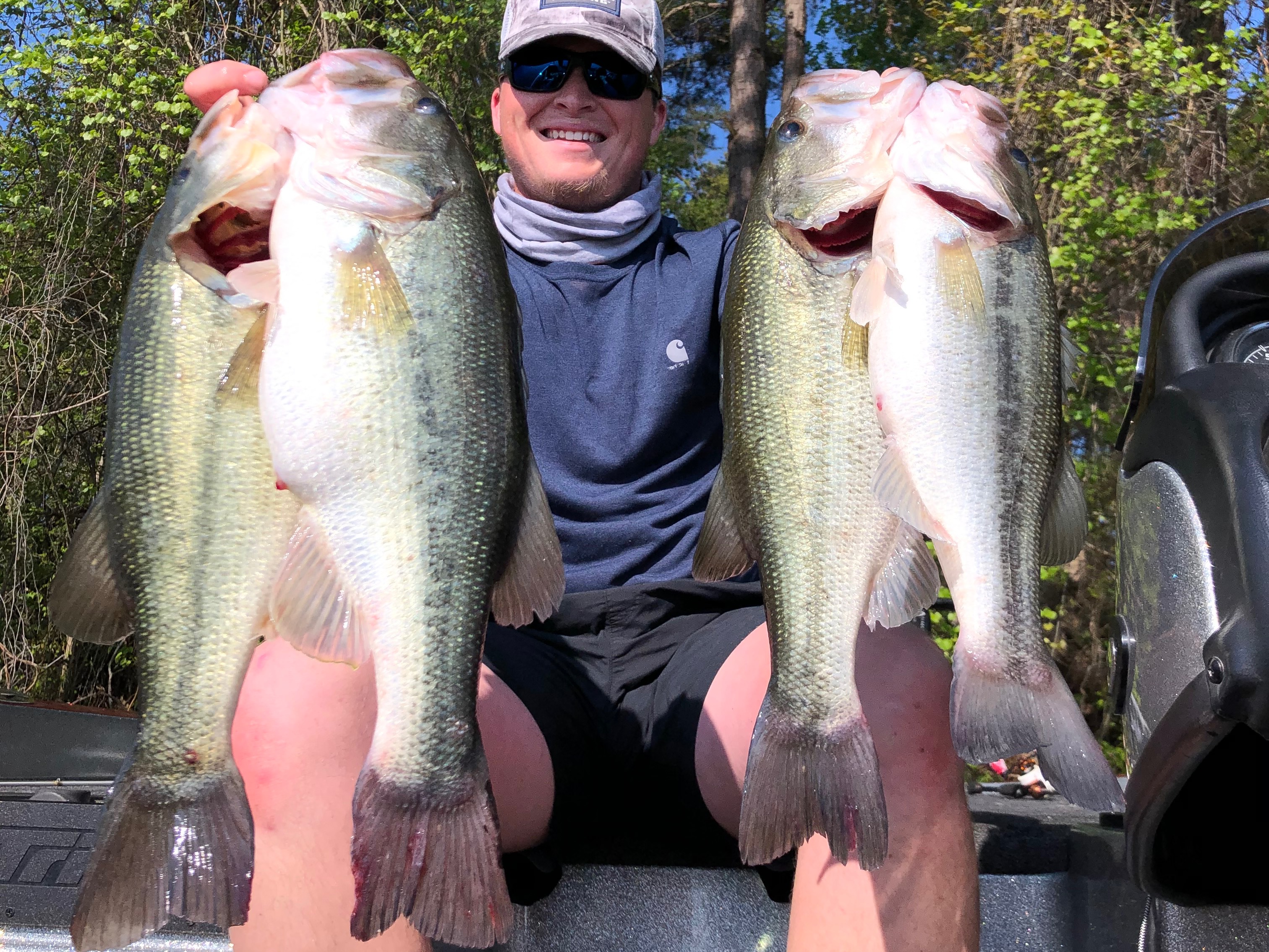 Jordan Thompson  fishing report for Wheeler Lake in Alabama