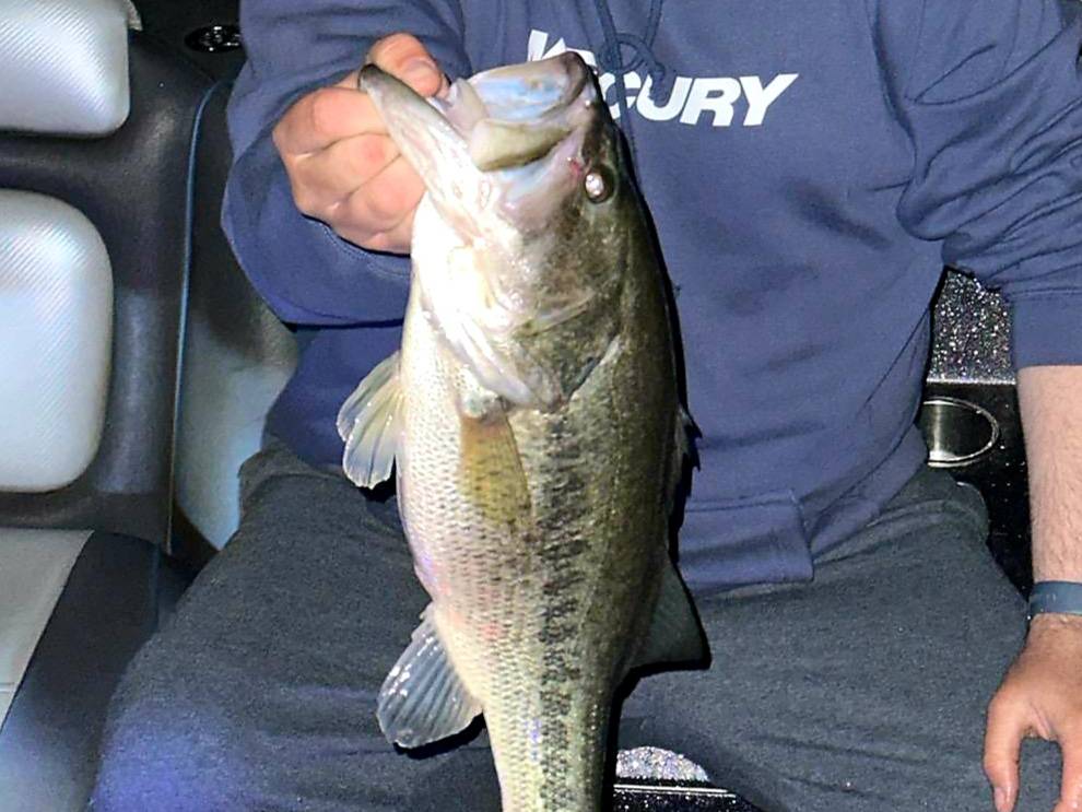 Drew Barnes fishing report for Loch Lomond in 