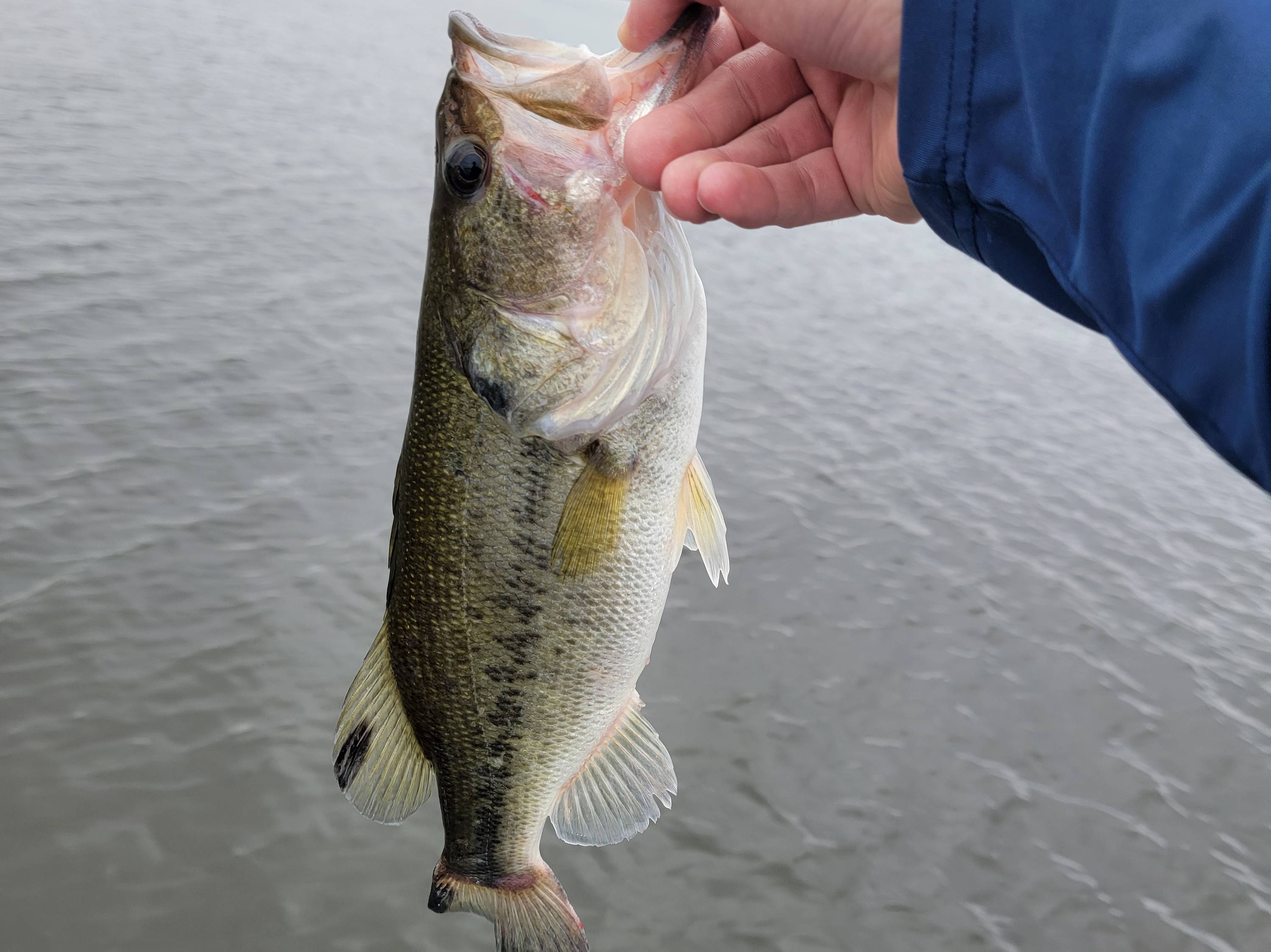 Kameron Dilks fishing report for Lake Conroe in Texas