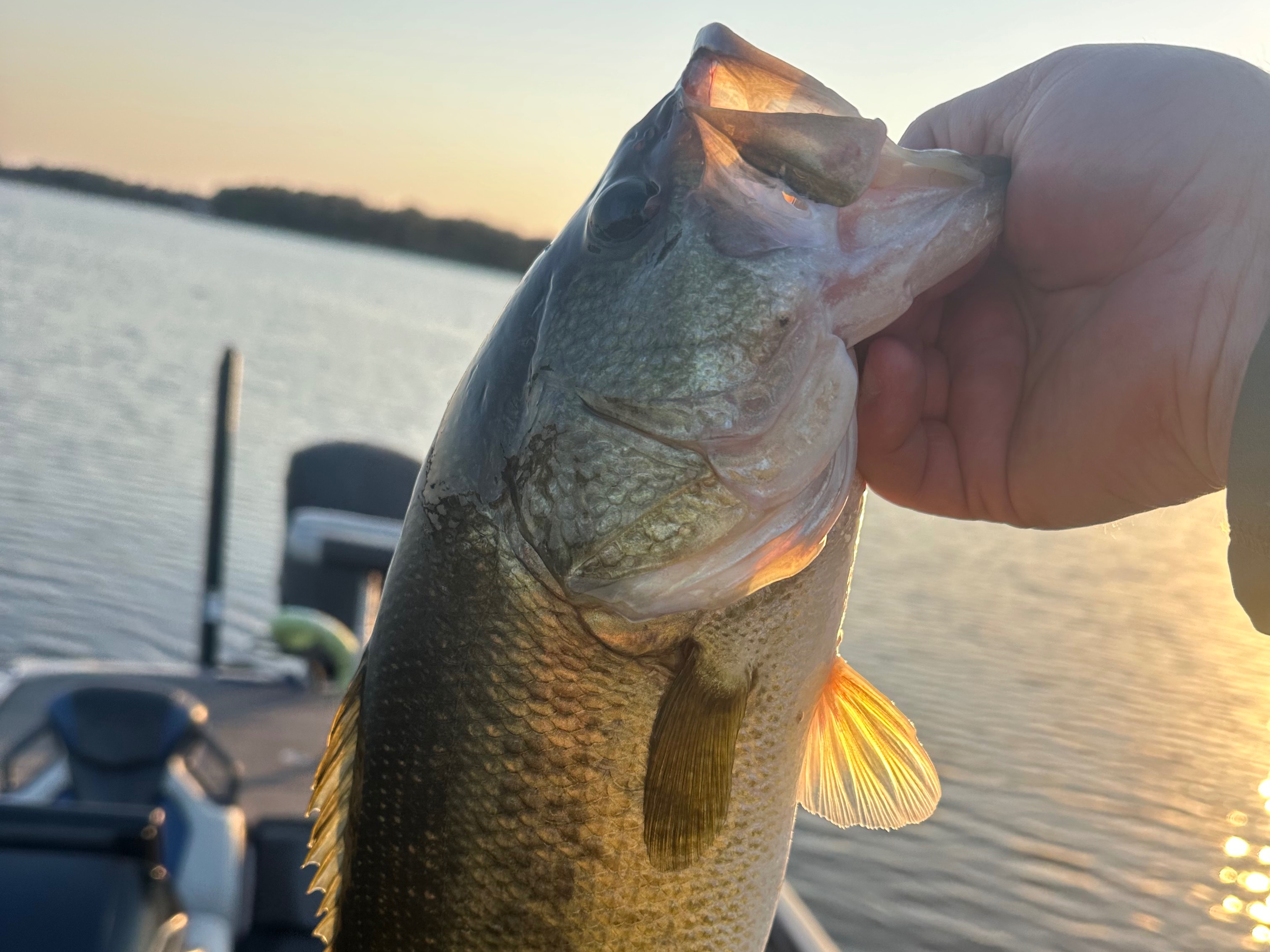 Jay Bonner fishing report for Lake Fork in Texas